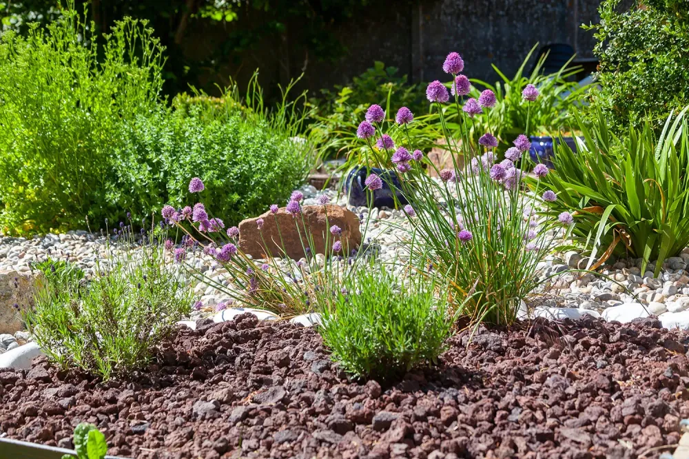 Création jardin près de Oise