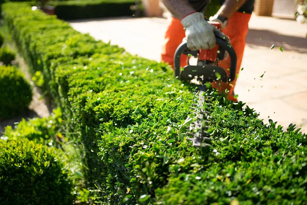 Entretien jardin près de Oise