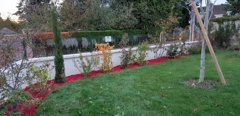 20181105_173557